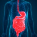 gastrointestinalni sistem stresor 3d ilustracija organa